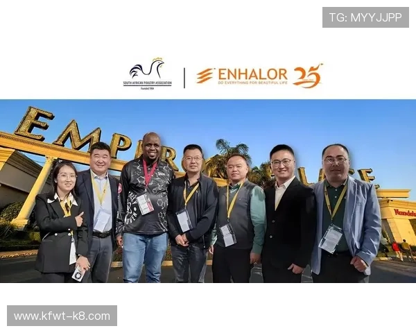 k8天生赢家一触即发：深入分析游戏平衡性调整带来的战局变化