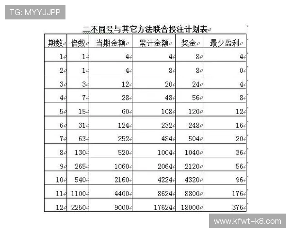 打造高效大发快三计划方案的实用指南帮助玩家优化投注策略提升中奖概率