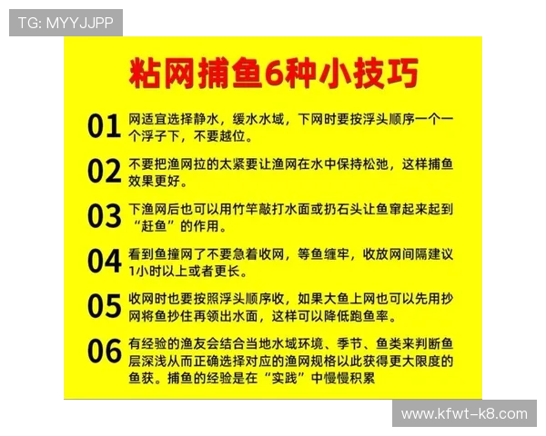 利用K8捕鱼网投平台进行线上捕鱼的技巧与常见问题解答